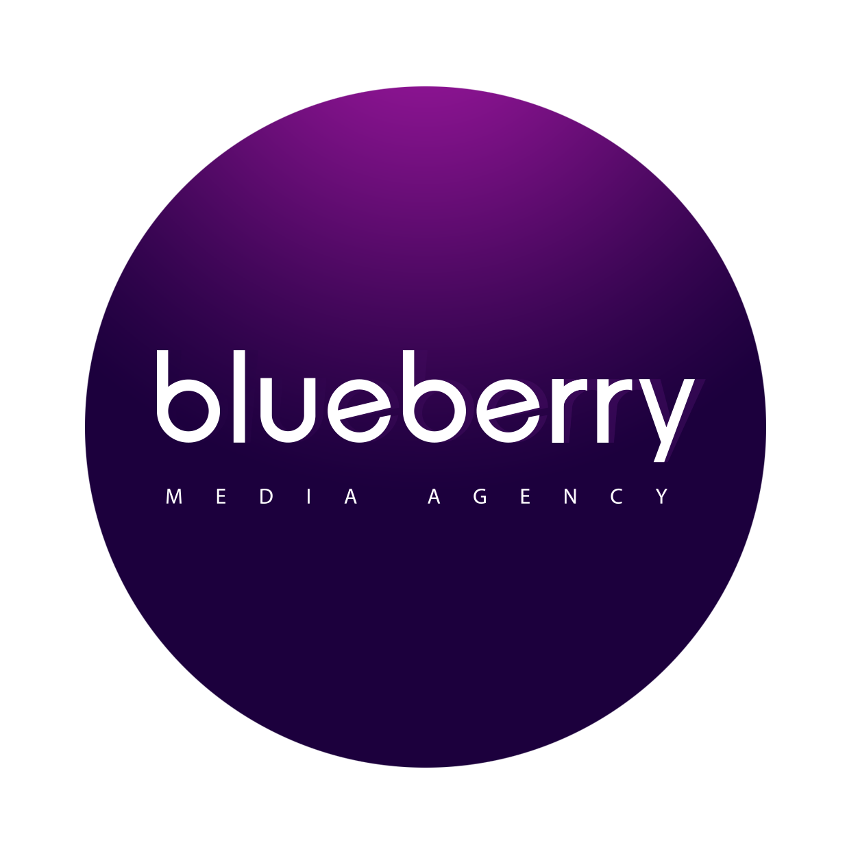 bluberry logo
